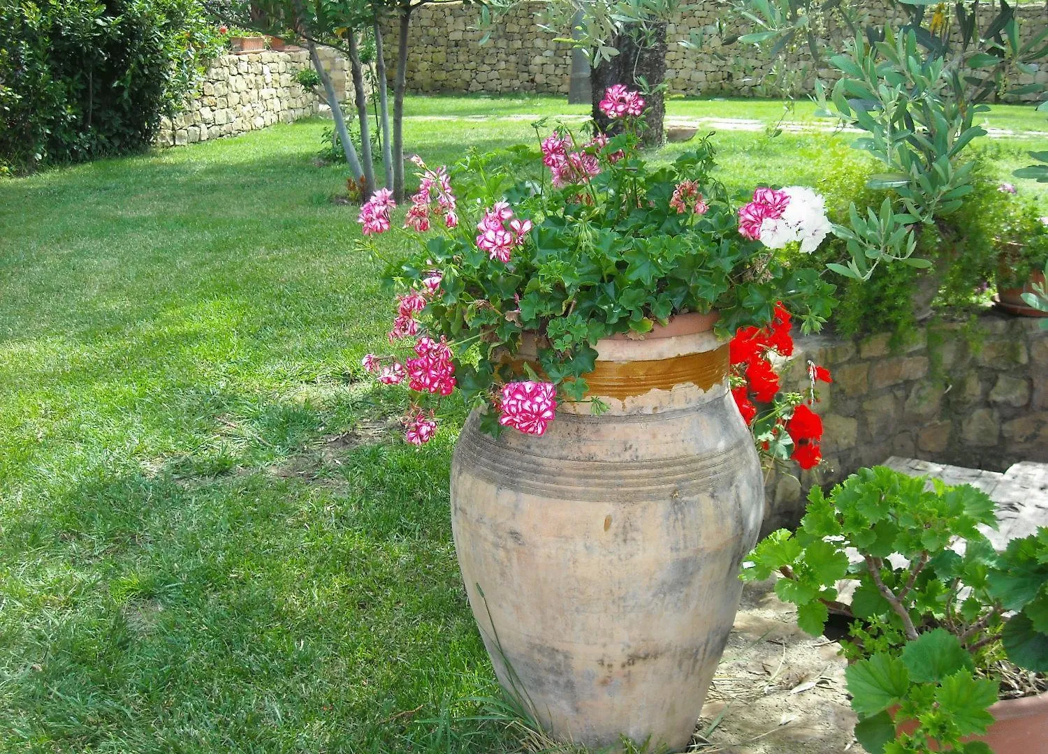 SantʼAgata di Militello Agriturismo Villa Luca איטליה